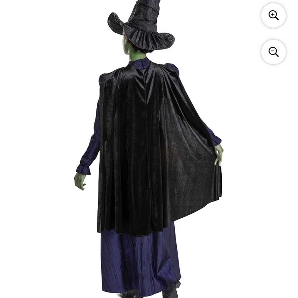 Elphaba costume women's - Picture 2 of 4